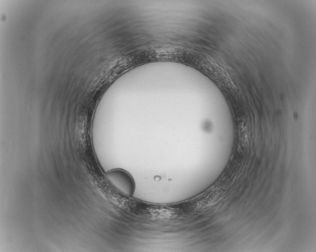 X0000086930698200705071353