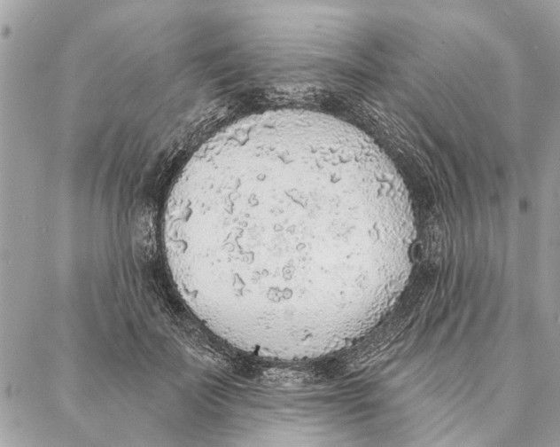 X0000086930699200705071353