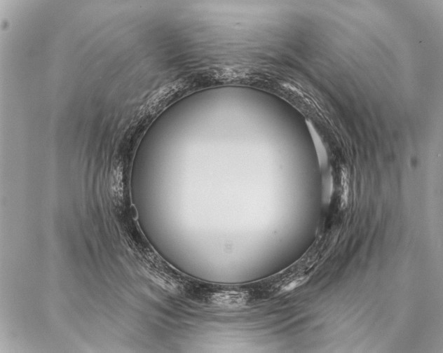 X0000086930700200705071353