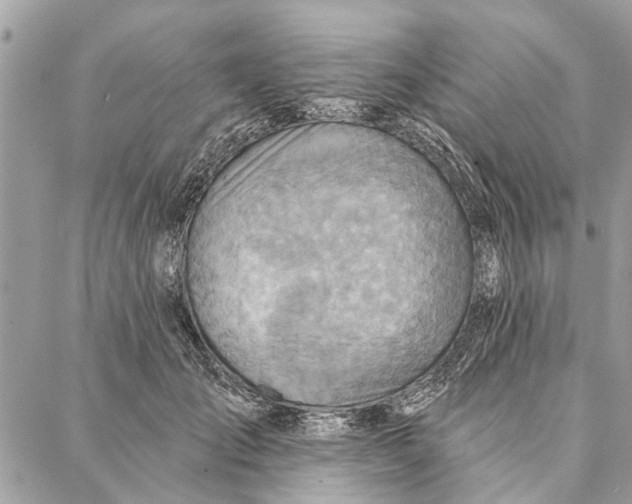 X0000086930701200705071353