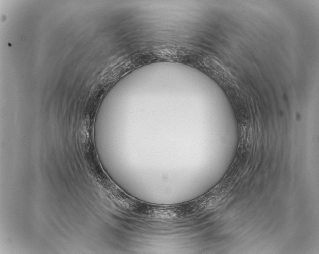 X0000086930702200705071353