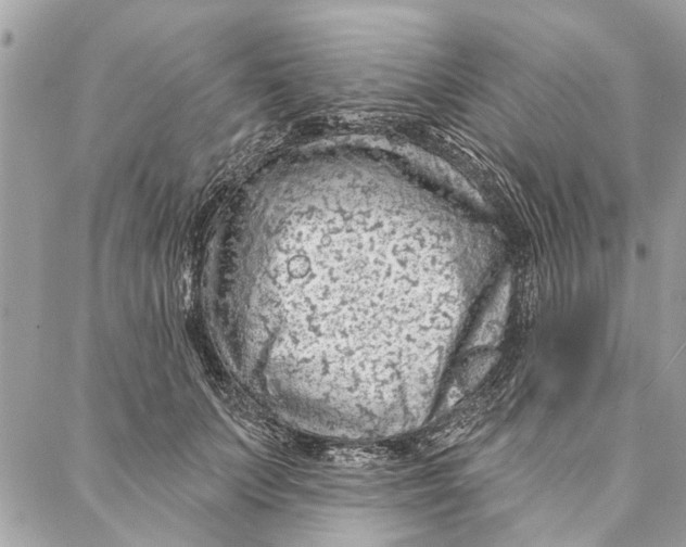 X0000086930703200705071353