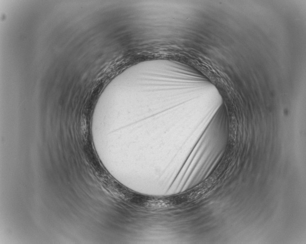 X0000086930704200705071353