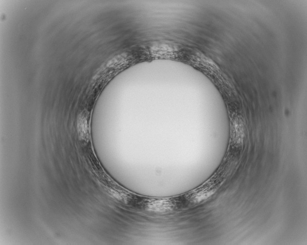 X0000086930705200705071353