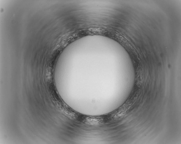 X0000086930706200705071353