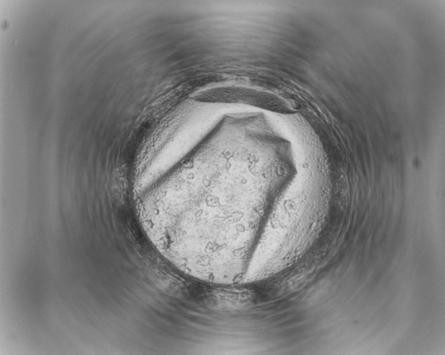 X0000086930707200705071353