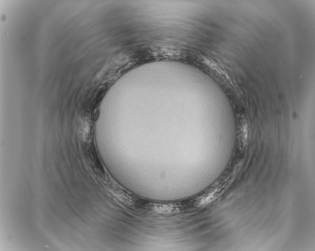 X0000086930709200705071353