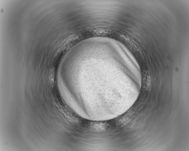 X0000086930710200705071353