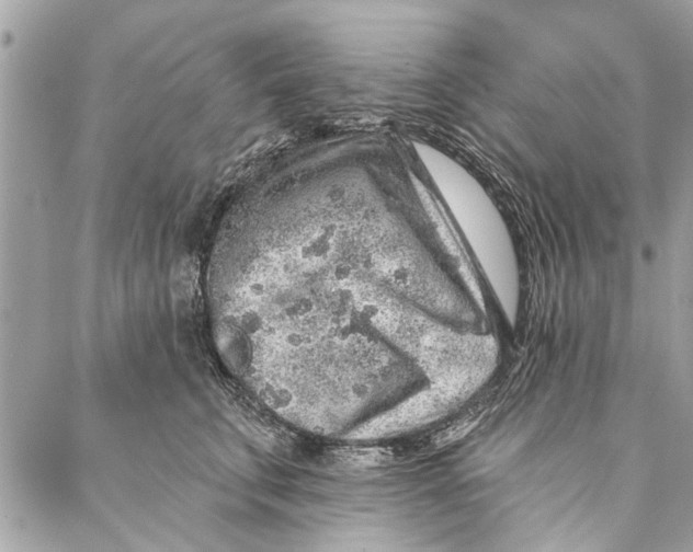 X0000086930711200705071353