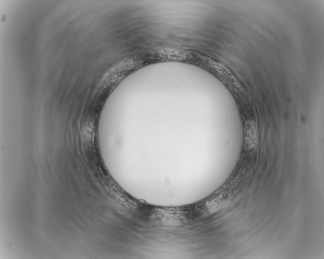 X0000086930713200705071353