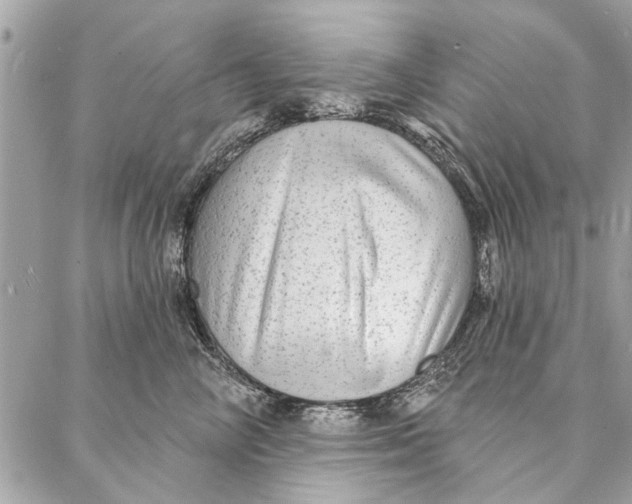 X0000086930714200705071353