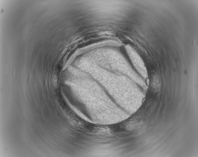 X0000086930715200705071353