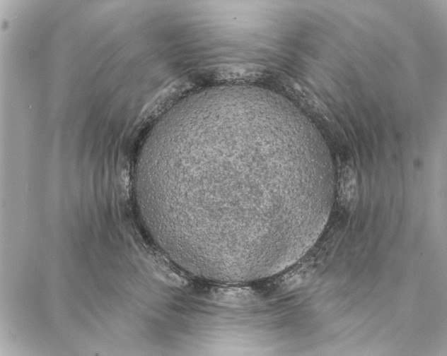 X0000086930716200705071353