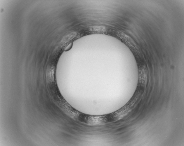 X0000086930717200705071353