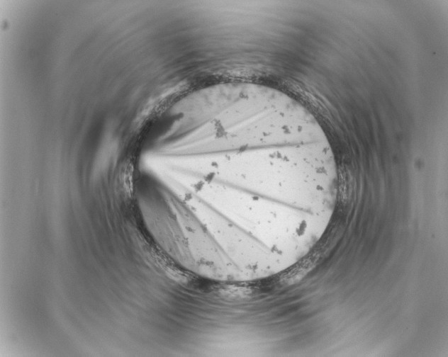 X0000086930718200705071353