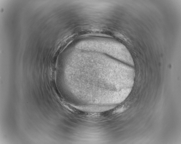 X0000086930720200705071353