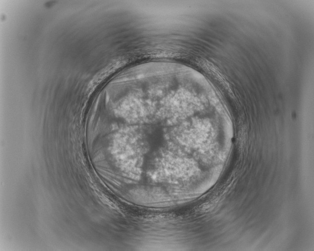 X0000086930721200705071352