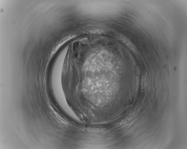 X0000086930722200705071352