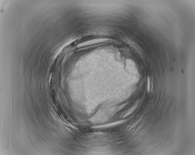 X0000086930723200705071352