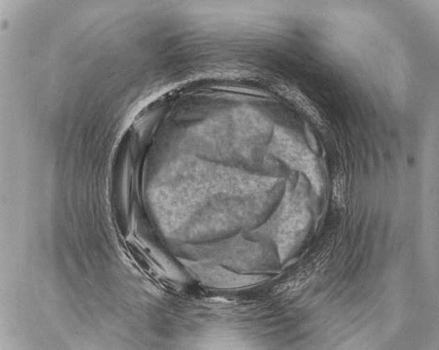 X0000086930724200705071352