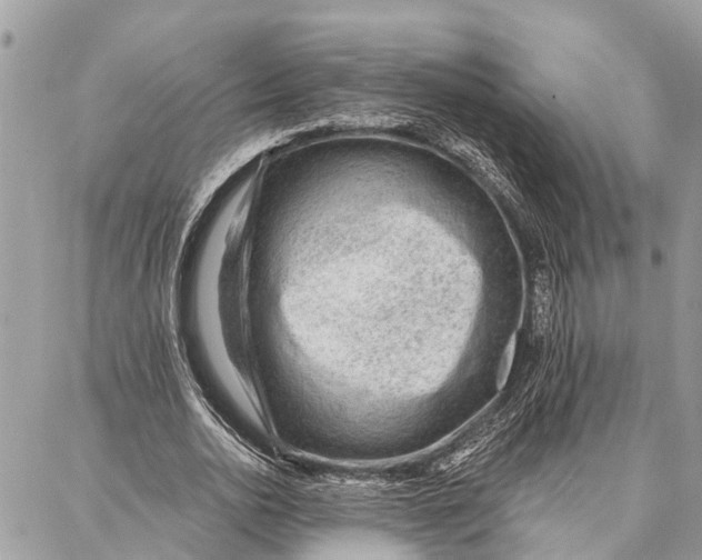 X0000086930726200705071352