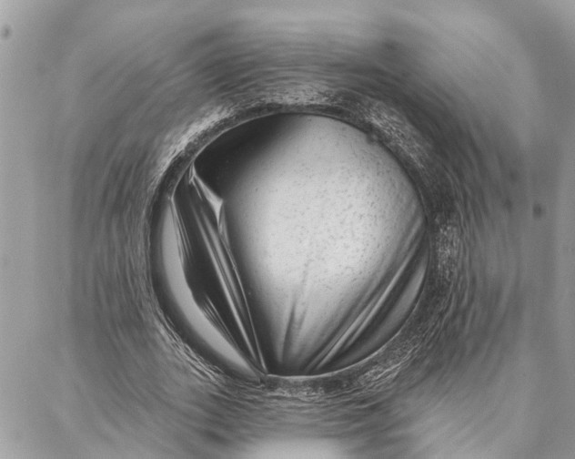 X0000086930727200705071352