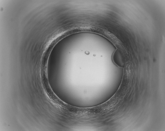 X0000086930728200705071352