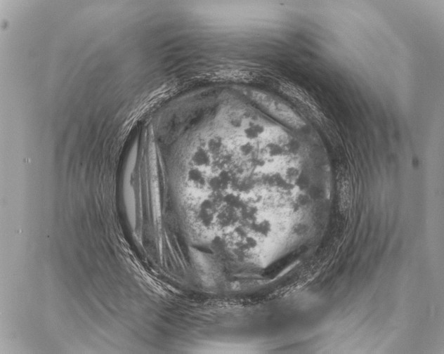 X0000086930729200705071352