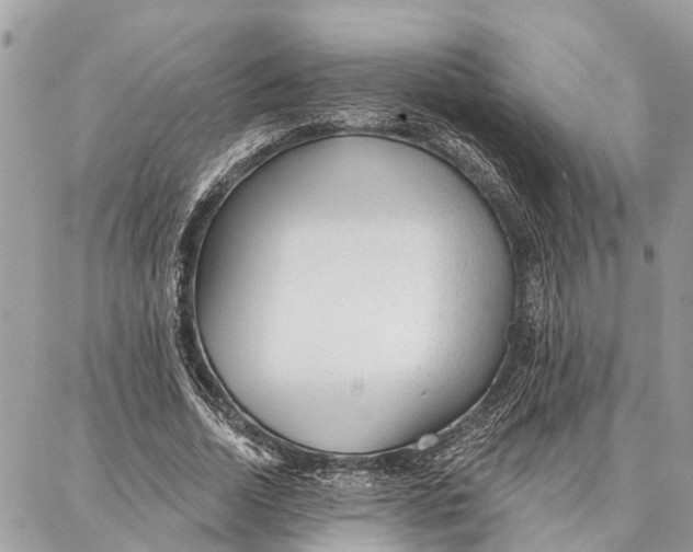 X0000086930730200705071352