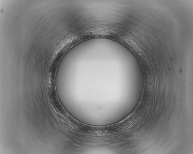 X0000086930731200705071352