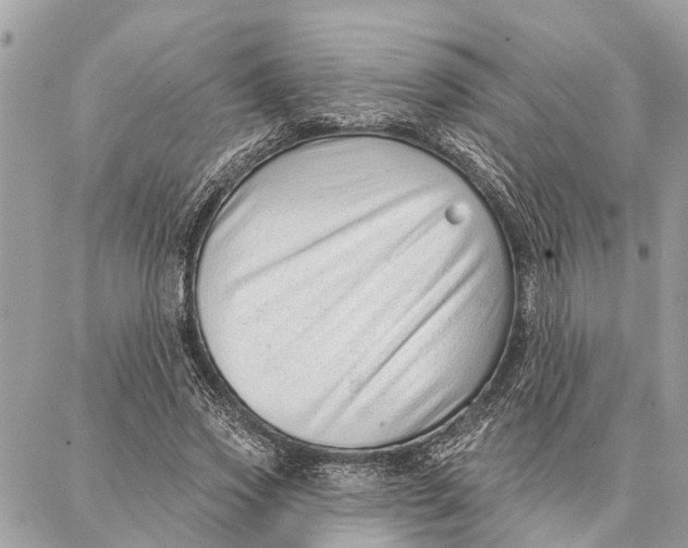 X0000086930733200705071352