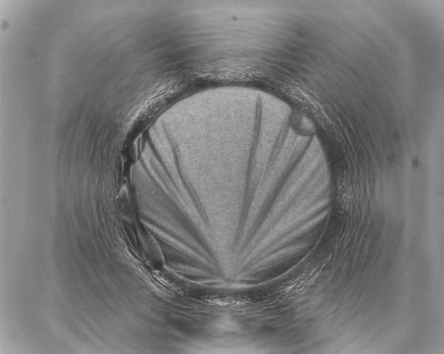 X0000086930735200705071352