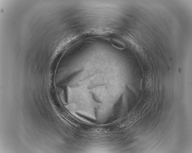 X0000086930736200705071352