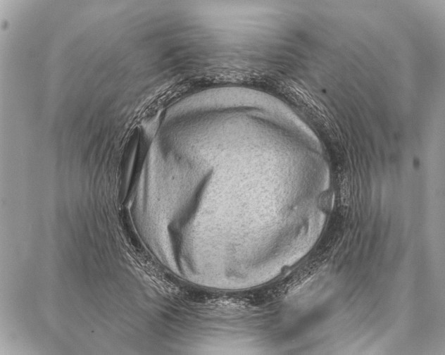 X0000086930737200705071352