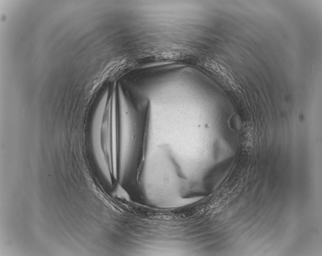 X0000086930738200705071352