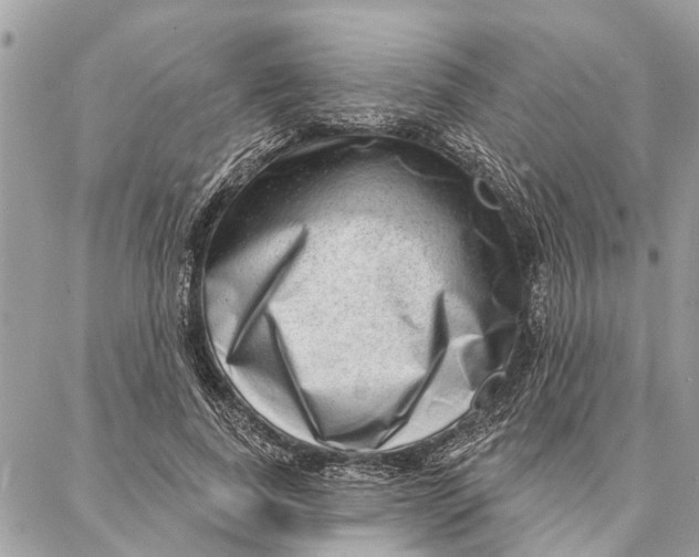 X0000086930739200705071352