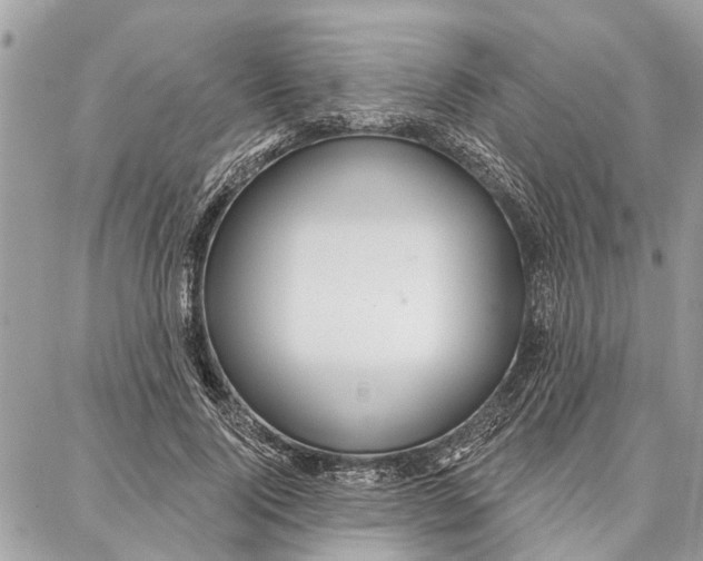 X0000086930740200705071352