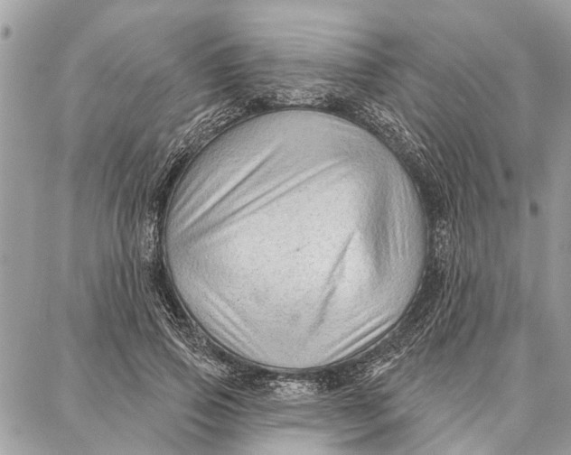 X0000086930741200705071352