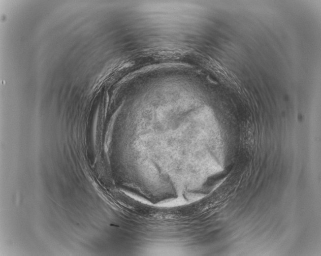 X0000086930742200705071352