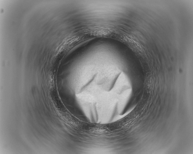 X0000086930743200705071352