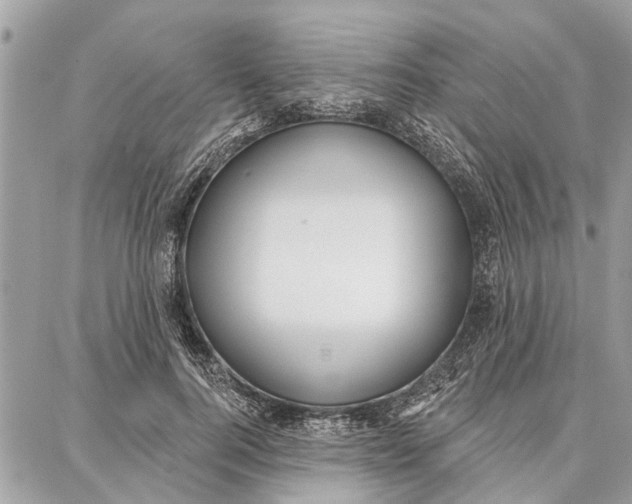 X0000086930744200705071352