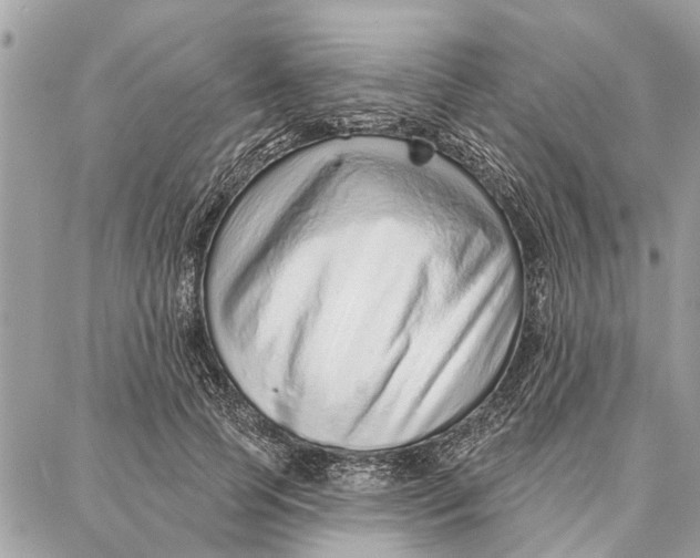 X0000086930745200705071352