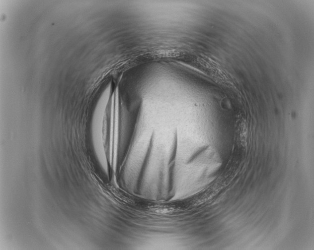 X0000086930746200705071352