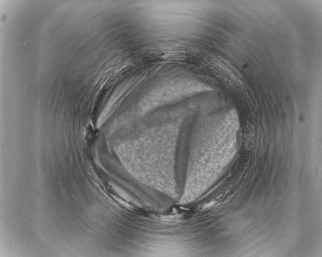 X0000086930748200705071353