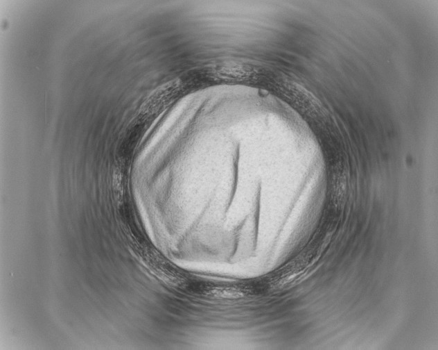 X0000086930749200705071353