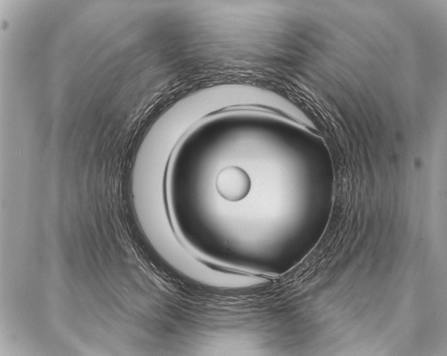 X0000086930750200705071353