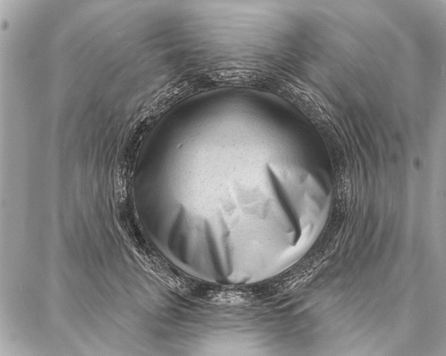 X0000086930751200705071353