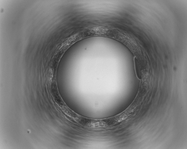 X0000086930752200705071353