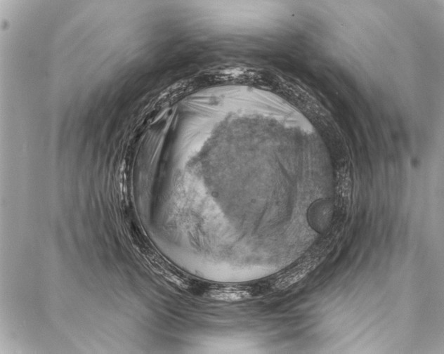 X0000086930754200705071353