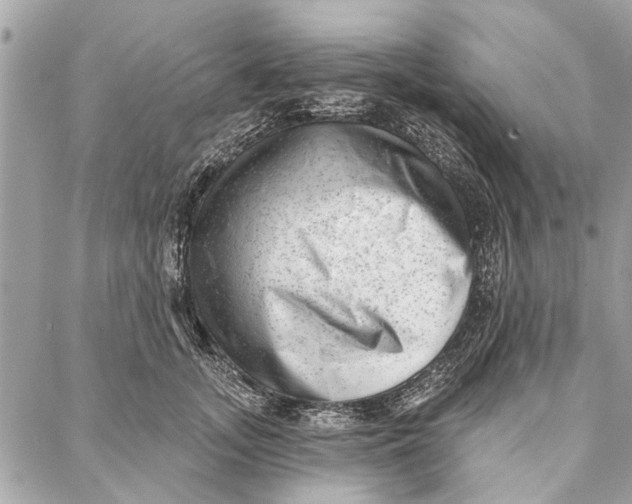 X0000086930755200705071353